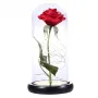 Троянда в колбі з LED підсвічуванням